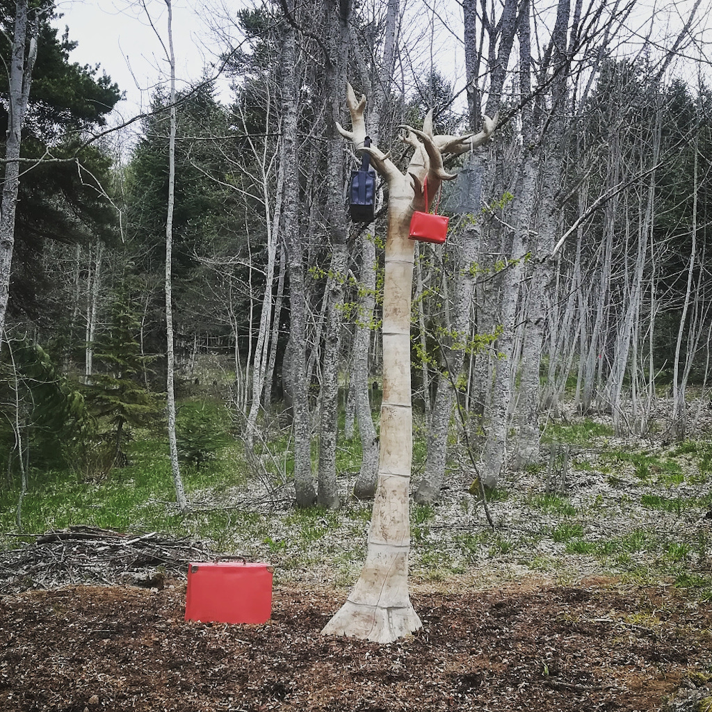 Sculpture monumentale. Arbres en grès dont les fruits accrochés aux branches sont des valises rouge, noire et grise. Une dernière valise rouge est posée au pied de l'arbre au sein de l'arboretum des Signaraux.