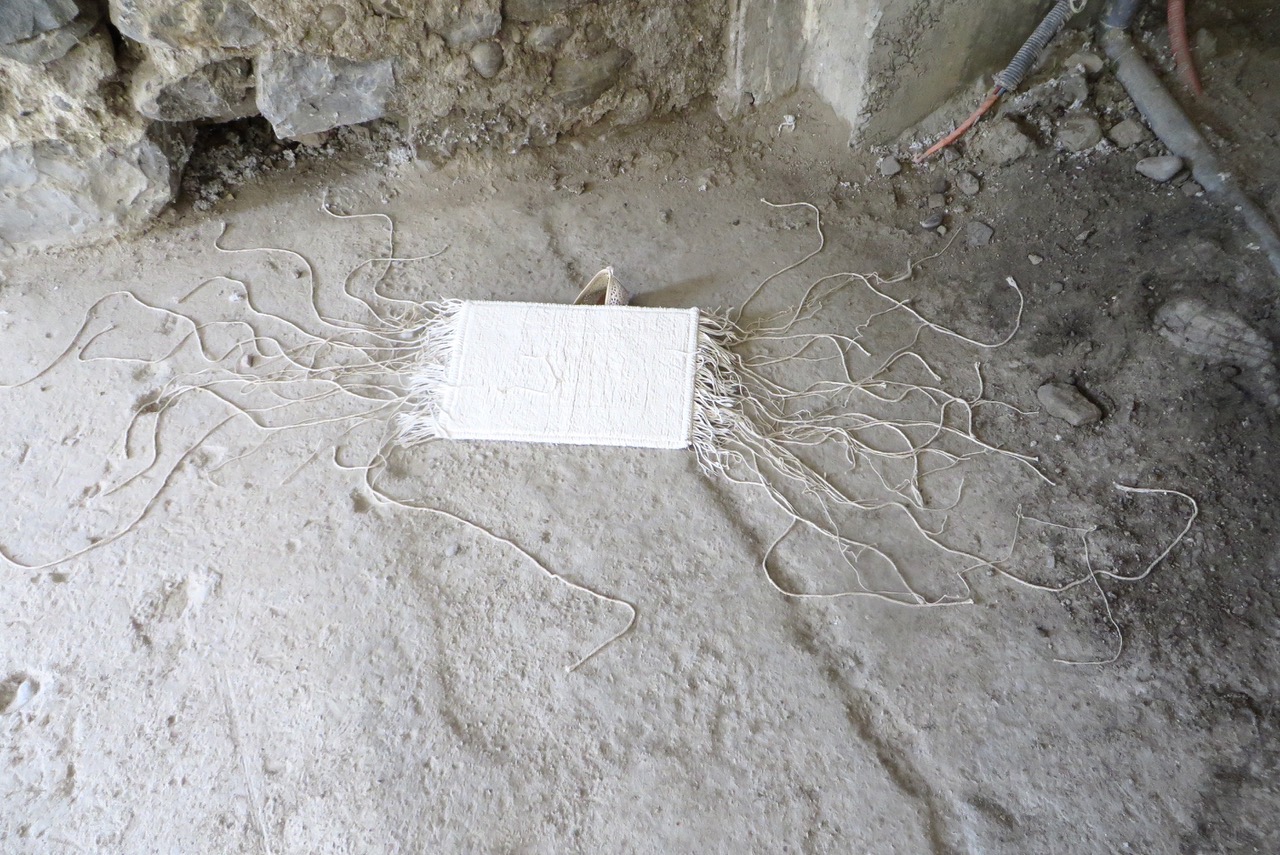 Installation au sol d'un chausson blanc sous un petit tapis qui prend racine