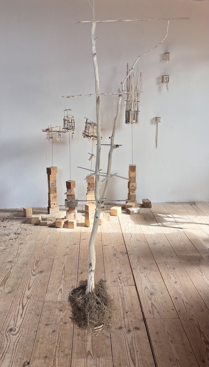 Sculpture de cabane dans un citronnier déraciné suspendu